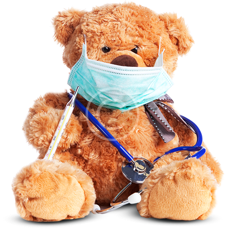 bear.png